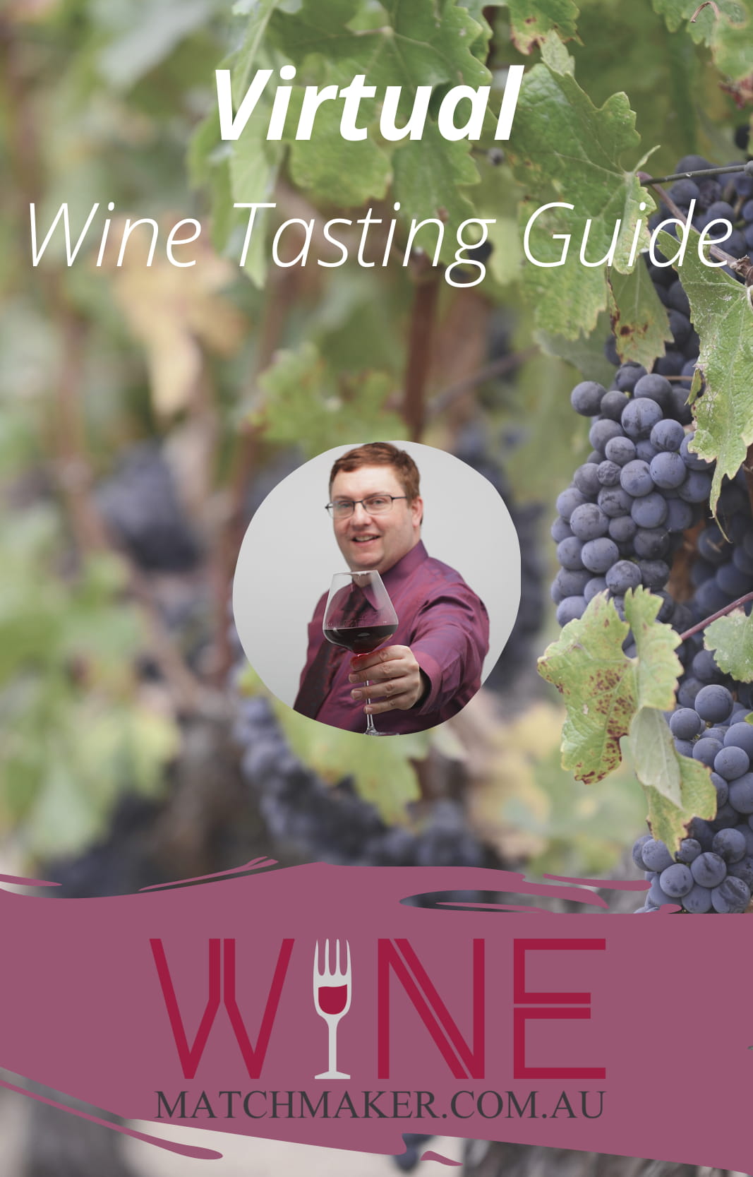 Wine Tasting guide